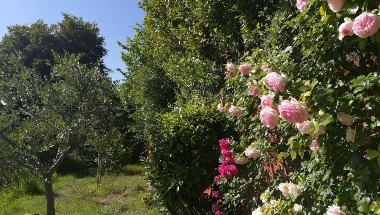 La Merla Перуджа Екстер'єр фото